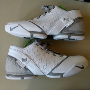 Lebron 5 Low 'Dunkman'